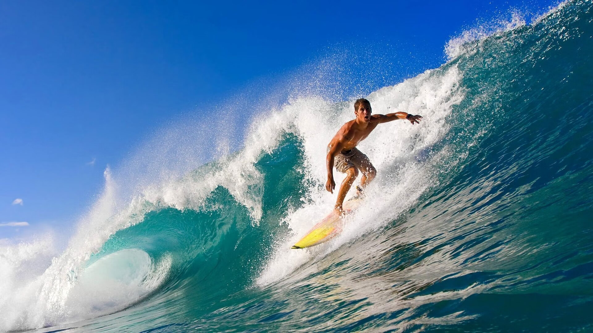 校园体育赛事品牌建设路径与传播策略研究,校园体育竞赛体系